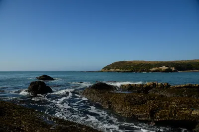 DSC_2620 (Large).JPG